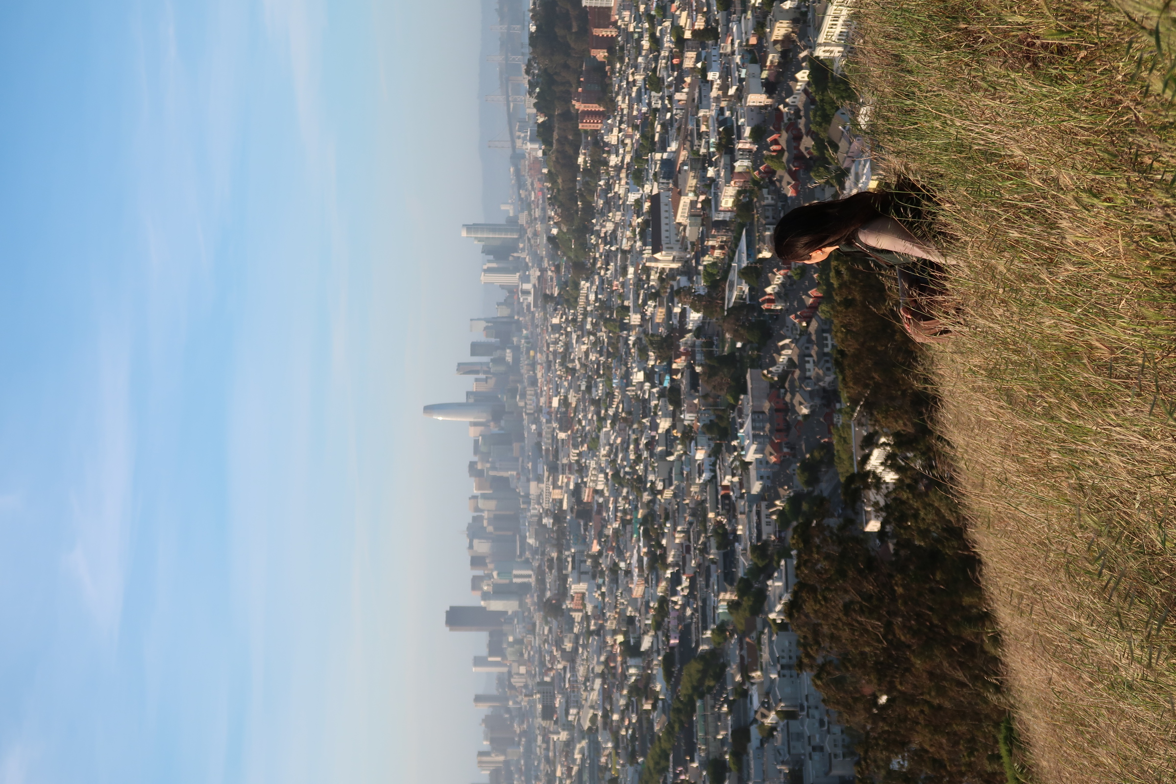 San Francisco skyline from a grassy hill
